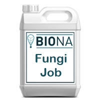 Biona Fungi Job